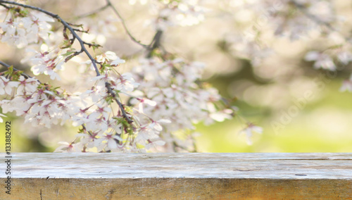 spring backgound © Piotr Krzeslak