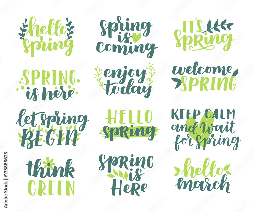Fototapeta premium Vector set of hand-written spring brush lettering. Hello spring. Spring collection green ink floral elements on white isolated background.