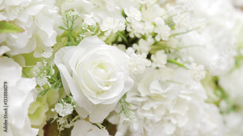 Fabric White Rose  © mootun