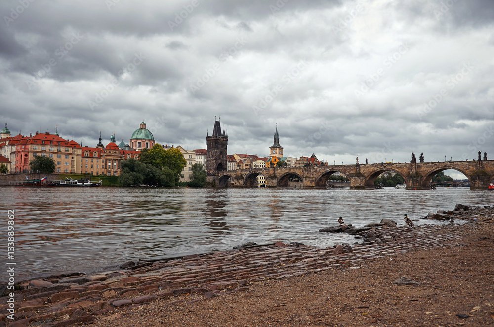 Ducks on the Vltava River in the background Charles Bridge