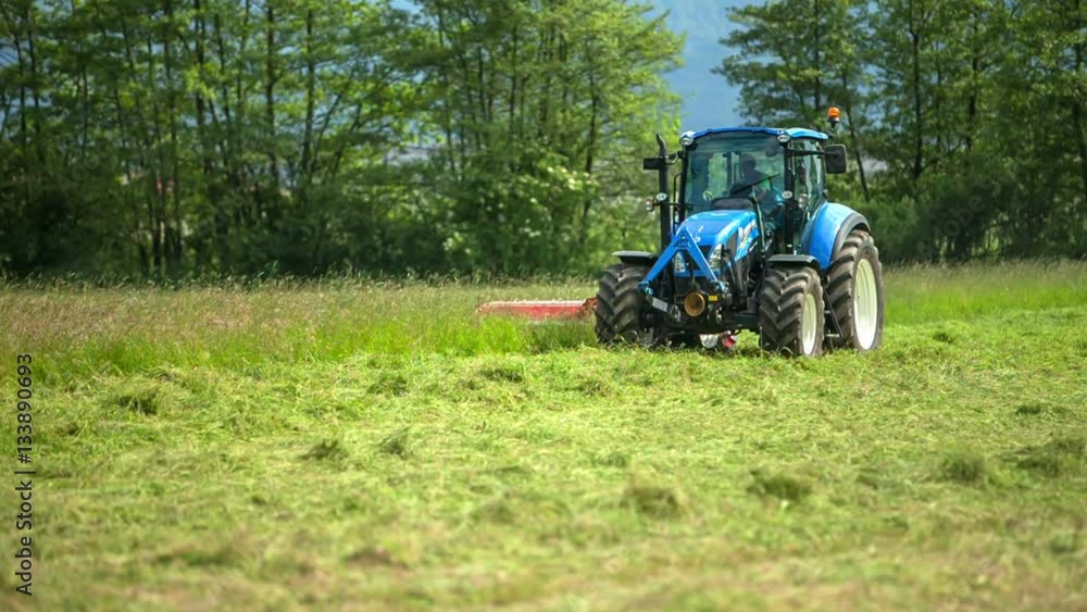 A blue tractor is driving across the grass field on a nice summer day. The weather is nice.
A blue tractor is driving across the grass field on a nice summer day. The weather is nice.