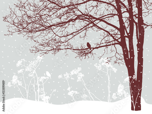 tree in the snowy day