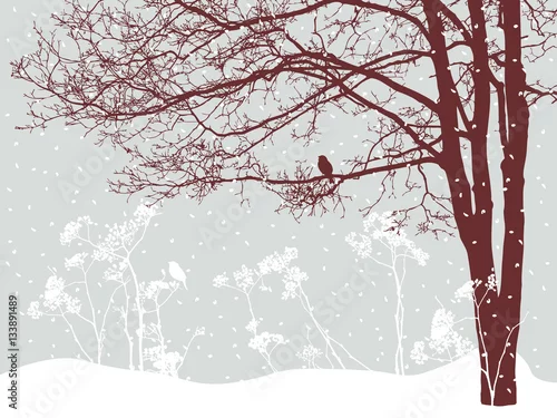 Obraz drzewo w śnieżny dzień