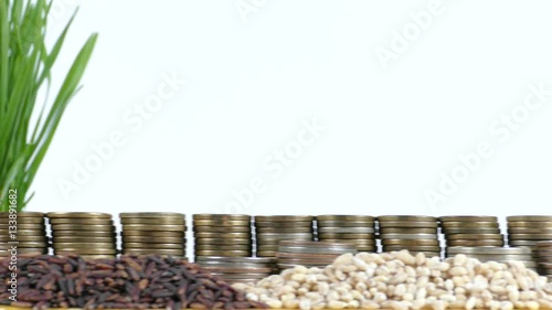 Haiti flag waving with stack of money coins and piles of wheat and rice seeds