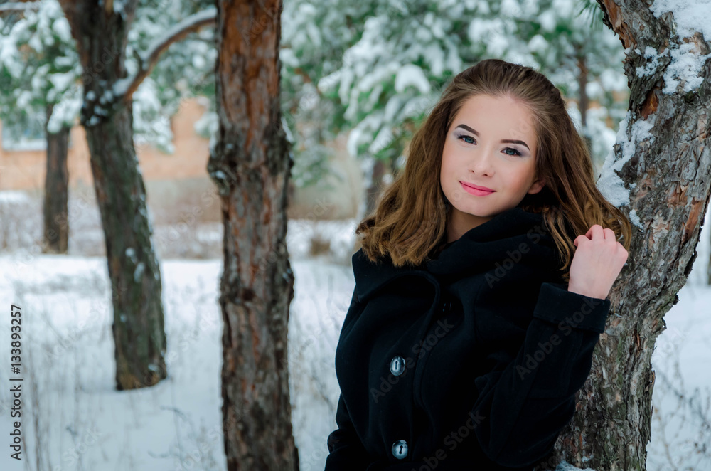 smiling young girl walking winter forest, Beautiful girl on a walk winter park. Girl with magnificent long hair among trees in the snow. Fashionable girl in winter coat in the snowy park.
smiling young girl walking winter forest, Beautiful girl on a walk winter park. Girl with magnificent long hair among trees in the snow. Fashionable girl in winter coat in the snowy park.