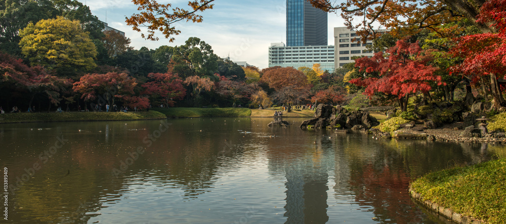 Obraz premium Japanese garden in Tokyo