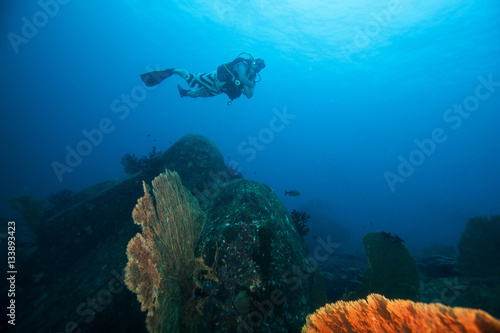 Scuba diver. Similan islands. Andaman sea. Thailand.