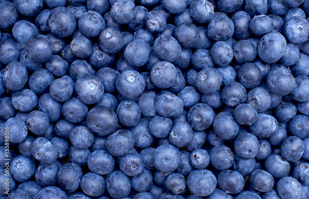 Freshly picked blueberries Freshly picked blueberries