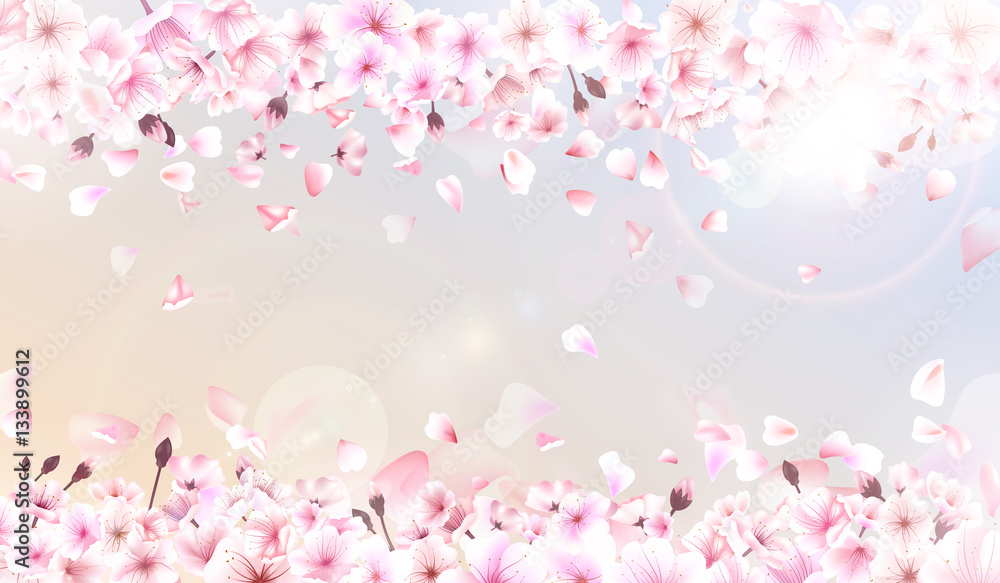 Blooming cherry. Spring background. Falling sakura pink petals. EPS 10 vector