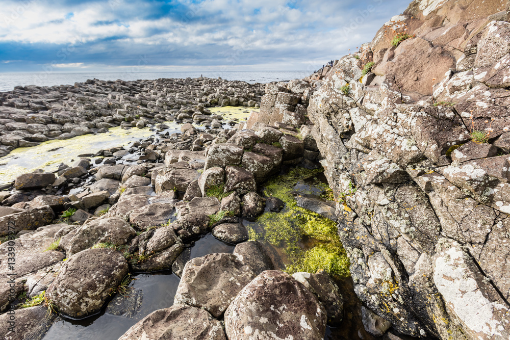 Giants Causeway, Northern Ireland