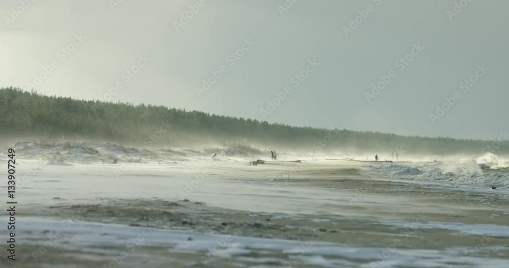 Slow motion blizzard on a sandy beach with a winter storm in the Baltic Sea, RED Dragon 4K 120fps
Slow motion blizzard on a sandy beach with a winter storm in the Baltic Sea, RED Dragon 4K 120fps