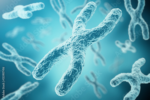 XY-chromosomes as a concept for human biology medical symbol gene therapy or microbiology genetics research. 3d rendering photo