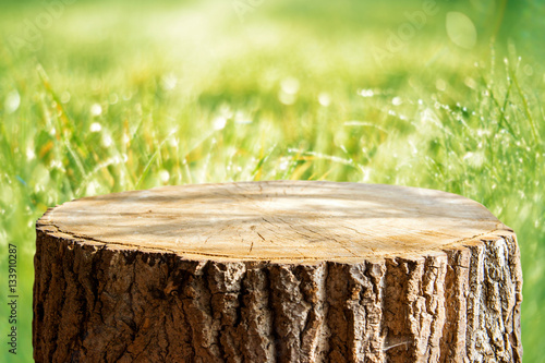 Εκτύπωση καμβά Empty tree trunk for display montags