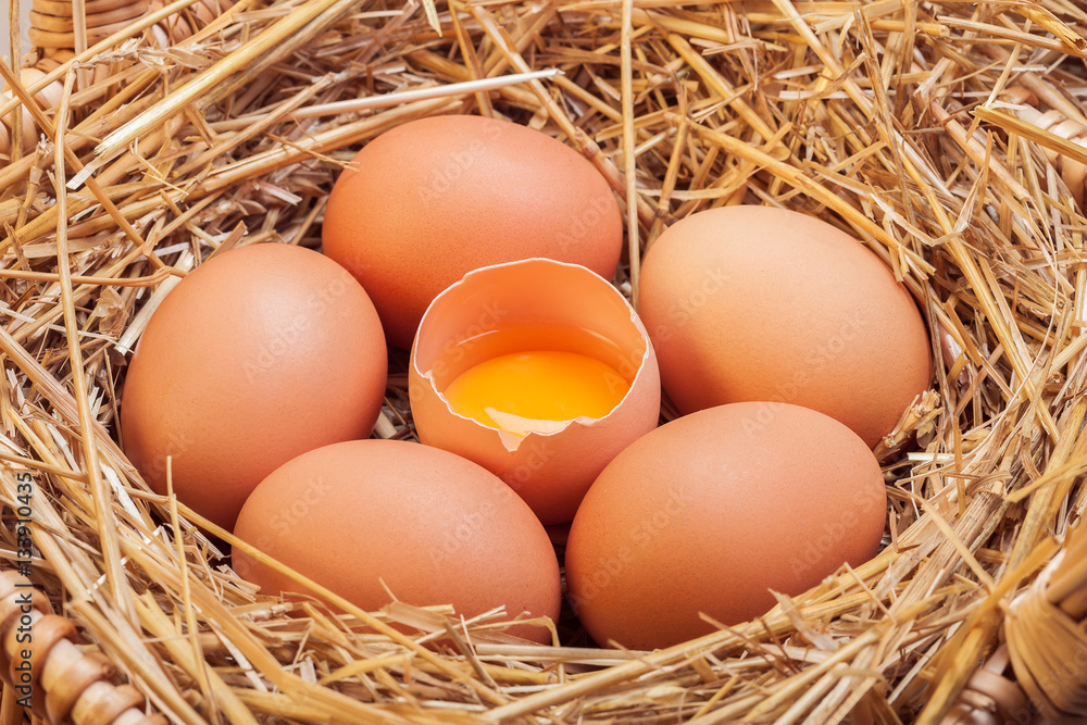 The eggs laid with hay. The eggs laid with hay.