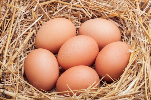 The eggs laid with hay.