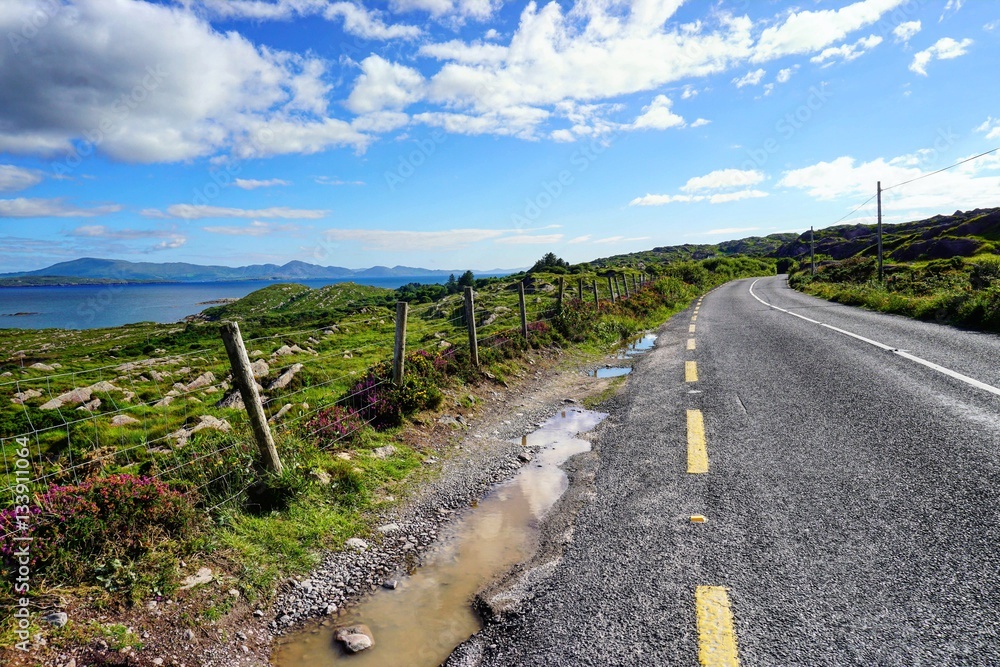 Fototapeta premium Landstraße in Irland