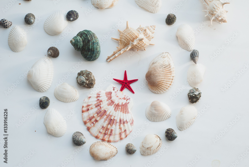 Marine composition. red star. Marine composition. red star.