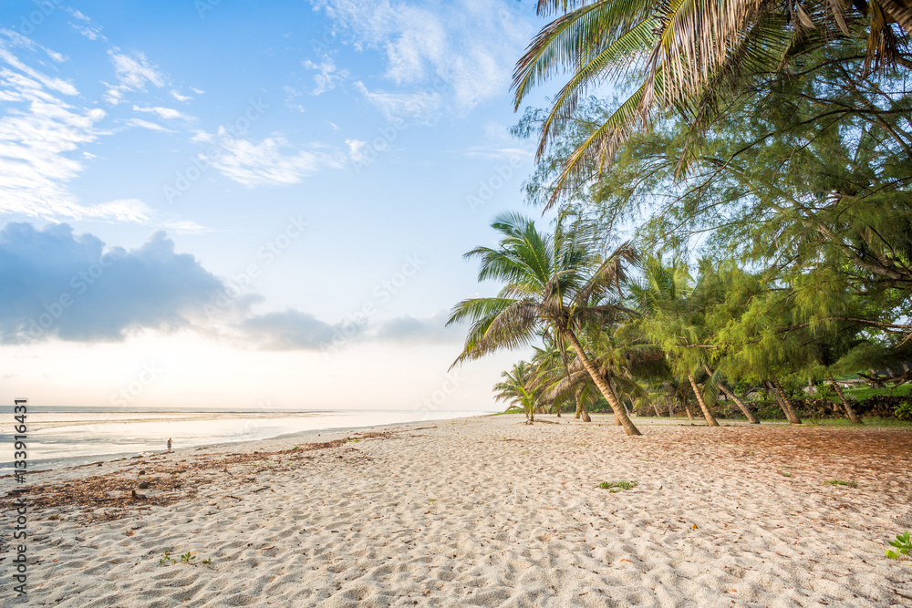 Paradise beach with white sand and palms
