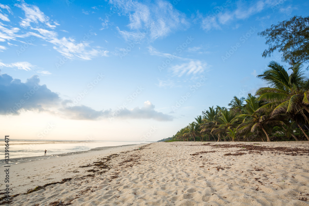 Paradise beach with white sand and palms Paradise beach with white sand and palms