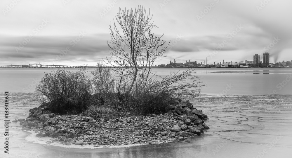 Fototapeta premium Bayfront Park