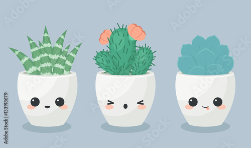 Succulents in kawaii faces flower pots