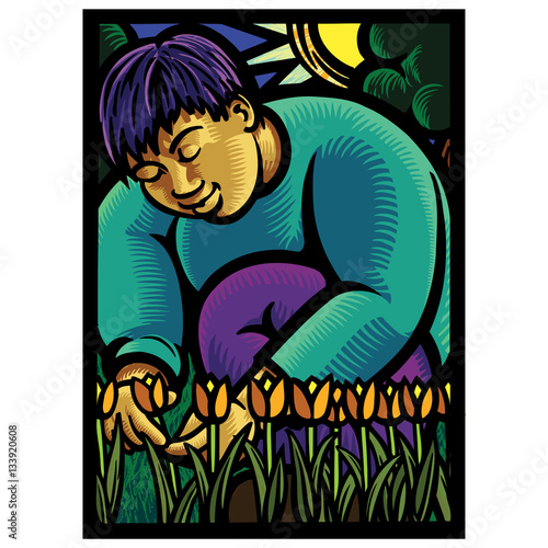 Asian male gardener tending to a row of tulips. 