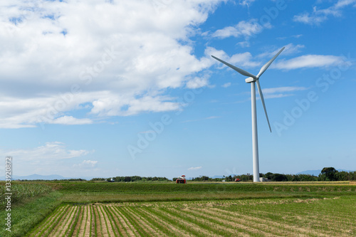 Wind turbine and green field