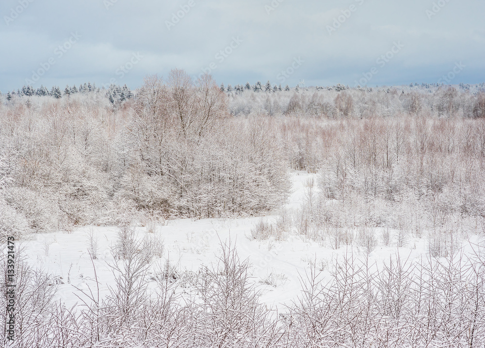 After a snowfall. Kaluga region, Russia After a snowfall. Kaluga region, Russia