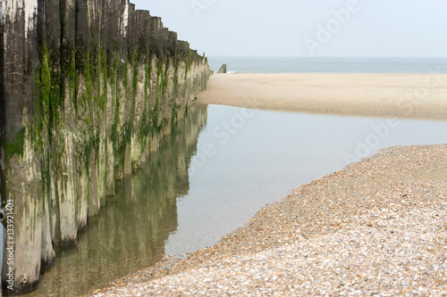 Timber Piles in one Row / Netherlands photo