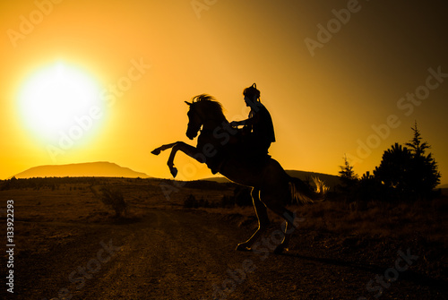 horse riding silhouette