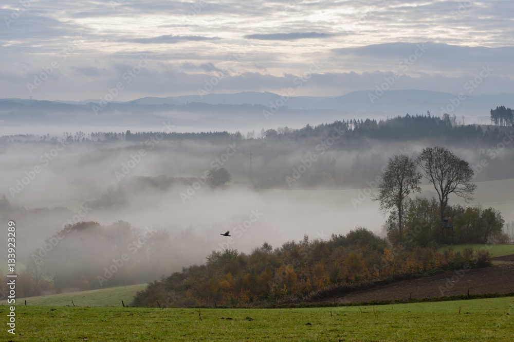 Sauerland. Herbstlandschaft mit Nebel.