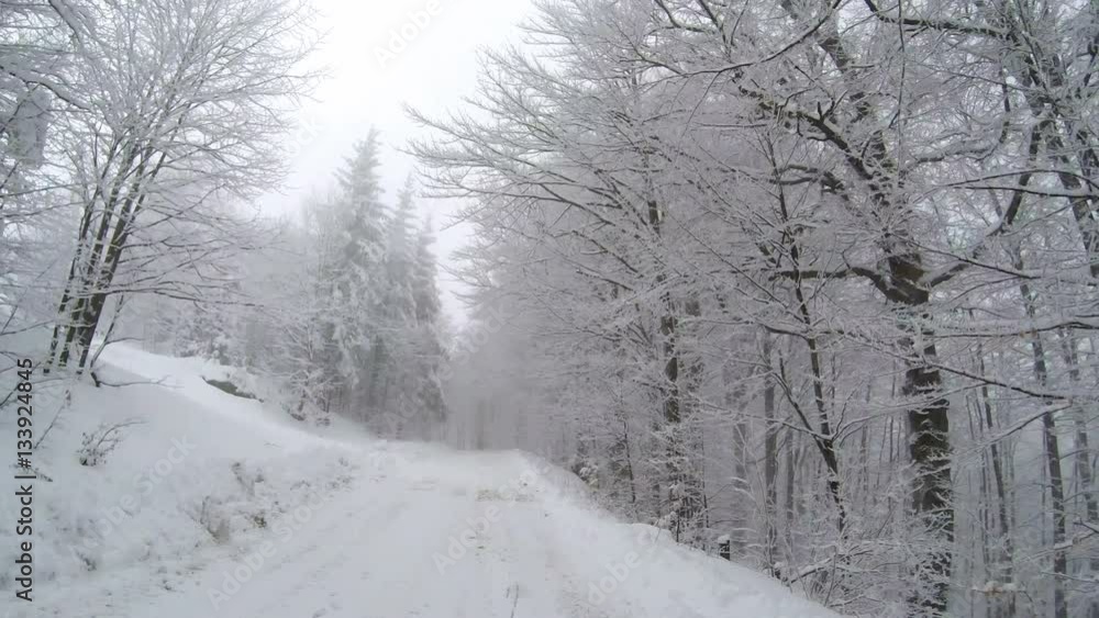 View of an empty snow covered road in the mountains during winter time with trees on the sides. View of an empty snow covered road in the mountains during winter time with trees on the sides.
