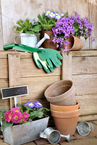 pots de fleurs et accessoires de jardinage dans remise en bois 