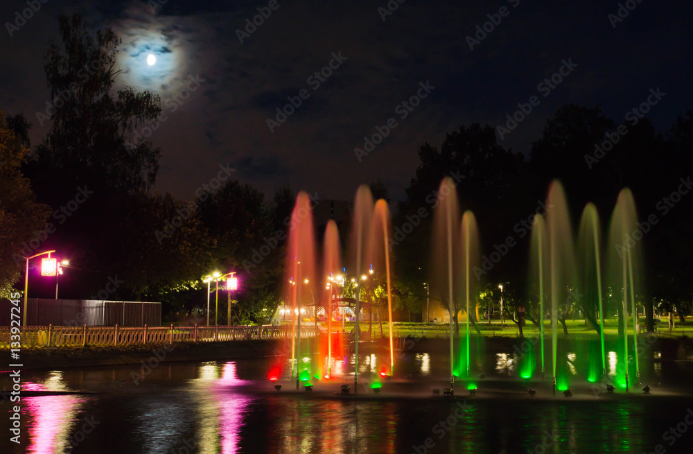 Fountain with backlight on the pond in night park