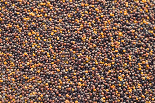 Fresh peppercorn seed background