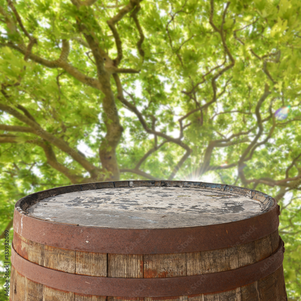 Fototapeta premium Old barrel top for display montages