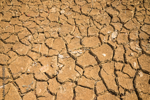 Land with dry and cracked ground in Tay Nguyen, Central Highlands of Vietnam