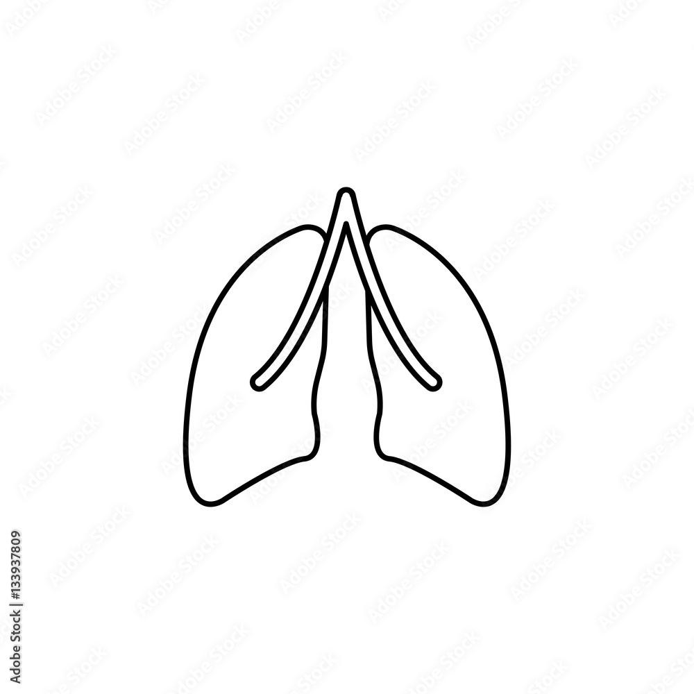 Lungs line icon, organ and part of body, vector graphics, a linear pattern on a white background, eps 10.