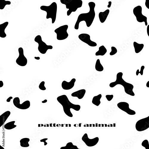 Pattern skins snow leopard, black and white. Vector.