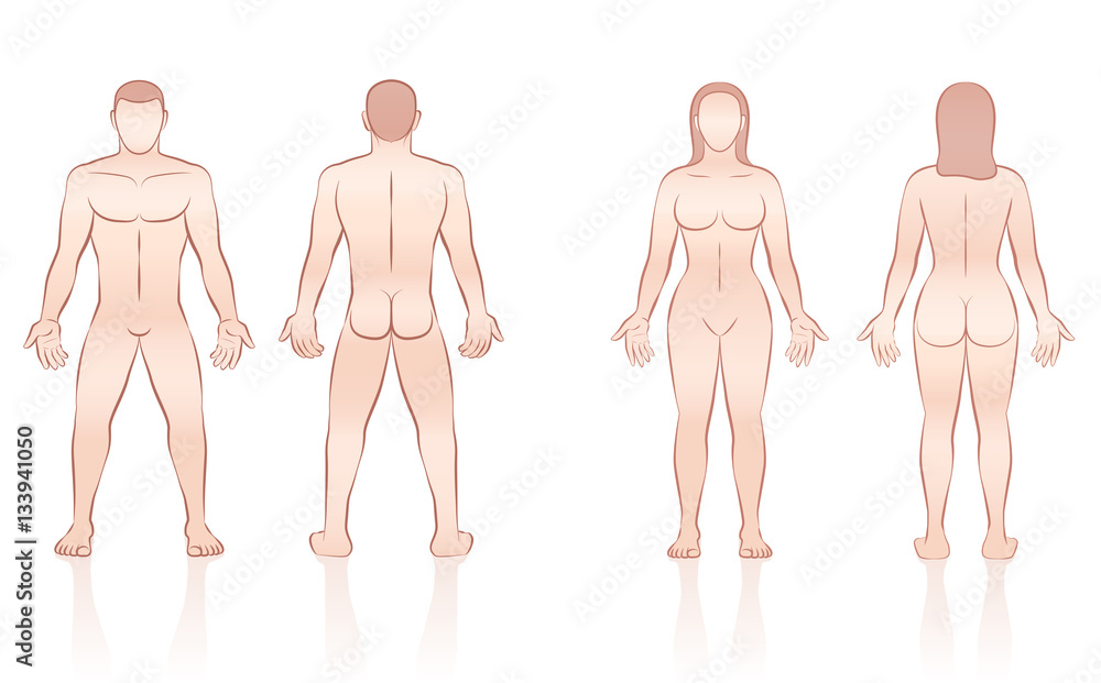 Fototapeta premium HUMAN BODY - naked man and woman, front and back view.
