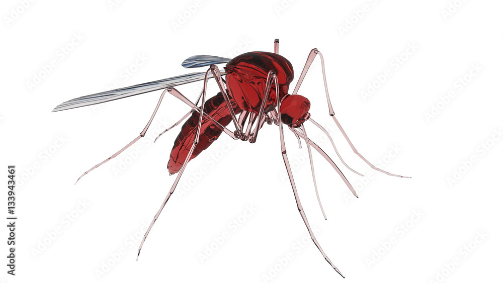 3d render of a mosquito 3d render of a mosquito