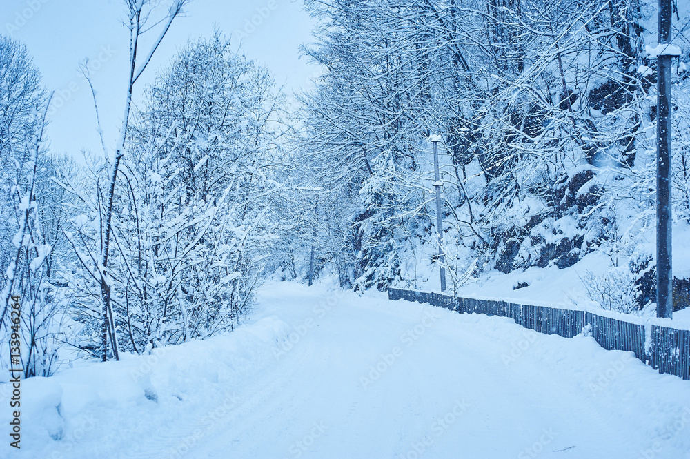Winter road after the snowfall Winter road after the snowfall