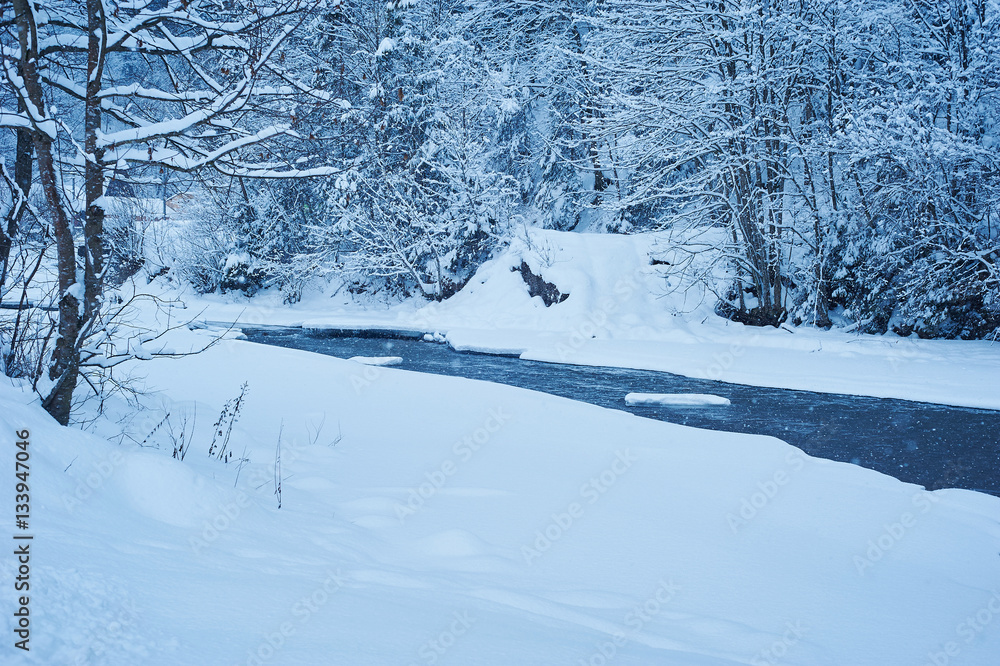Obraz premium Winter mountain river after the snowfall