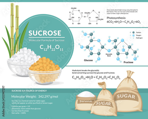 Vector illustration. White and brown sugar cubes in bowls. Structural chemical formula and model of sucrose photo