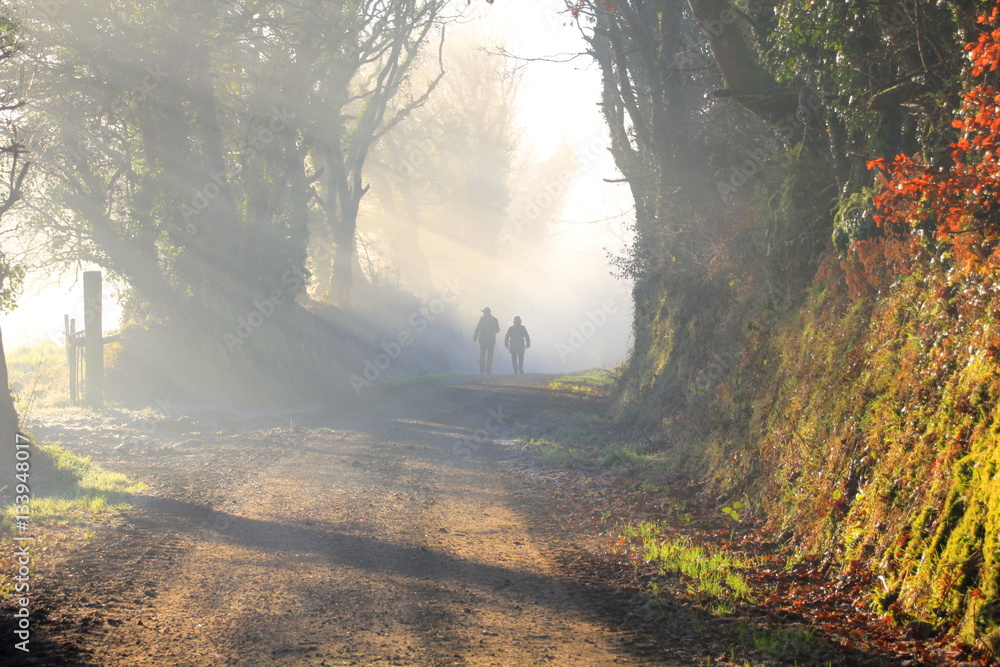 Couple is walking together in a foggy forest in the morning sun - obrazy, fototapety, plakaty 