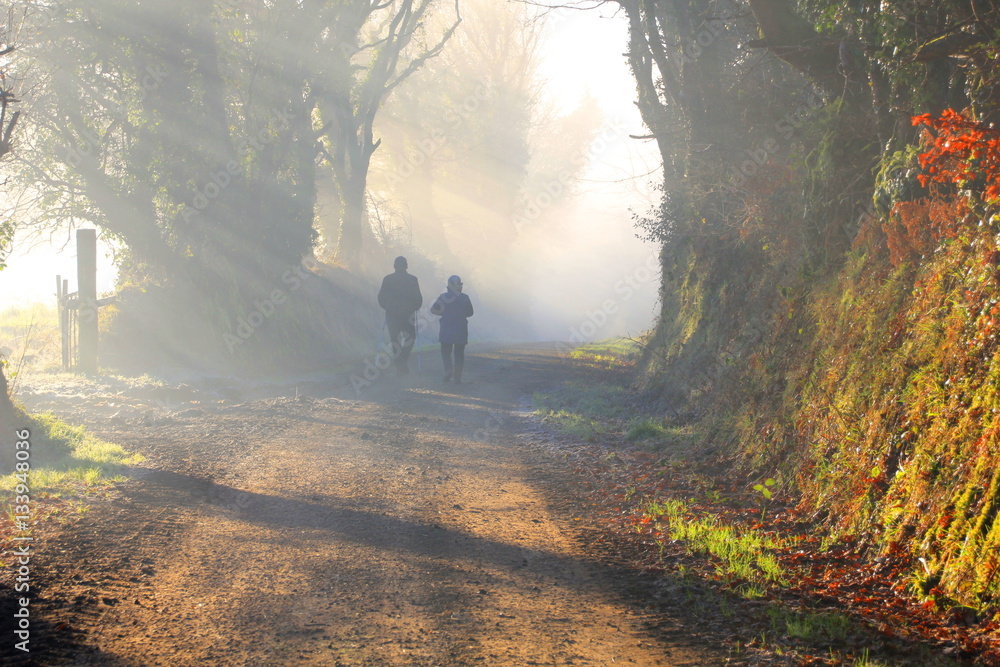 Couple is walking in the foggy forest in the morning sun - obrazy, fototapety, plakaty 