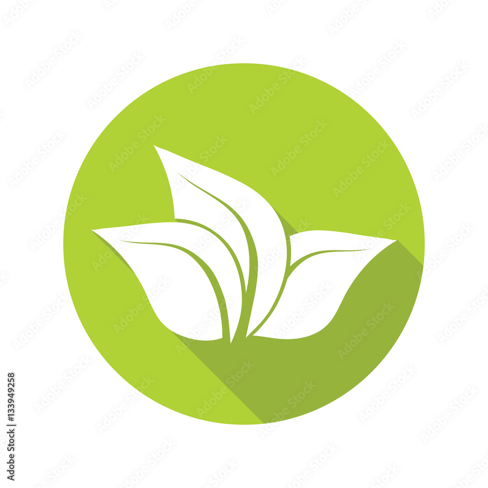 green leaves isolated on white background, organic icon. Vector.