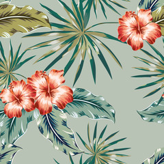 Fotobehang Hibiscus patronen Rode hibiscus palmbladeren kaki achtergrond  © ojardin
