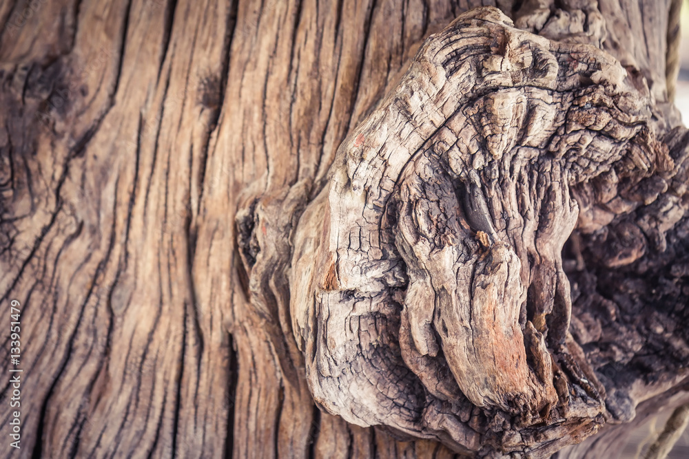 Abstract aged wood textured background with cracks Abstract aged wood textured background with cracks