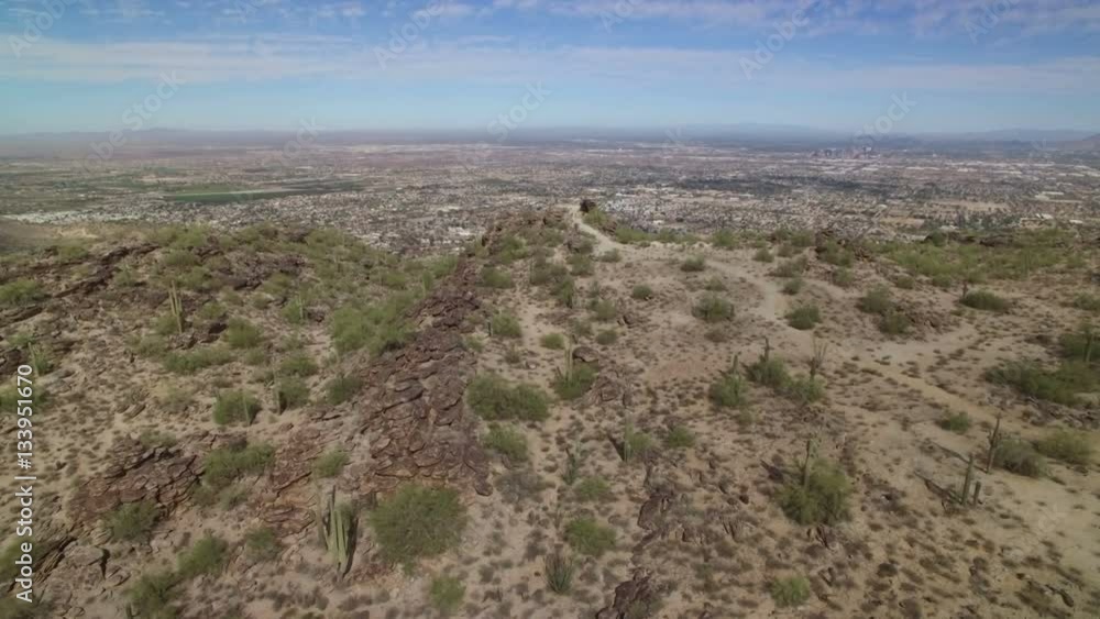 Phoenix Mountain Aerial 10 Saguaro Cactus Arizona Phoenix Mountain Aerial 10 Saguaro Cactus Arizona